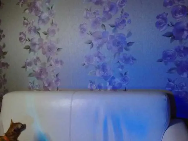 KattyCat from BongaCams