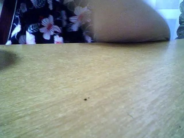 SEKSIMARI-5 from BongaCams