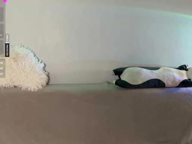 XXXDreamTeam from BongaCams