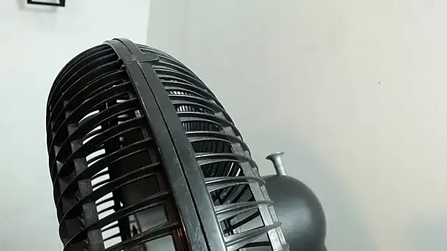 Bloom_bbc from StripChat