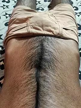 Cocktony from StripChat