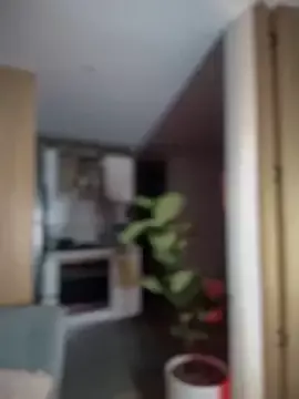 SaraFerreira from StripChat